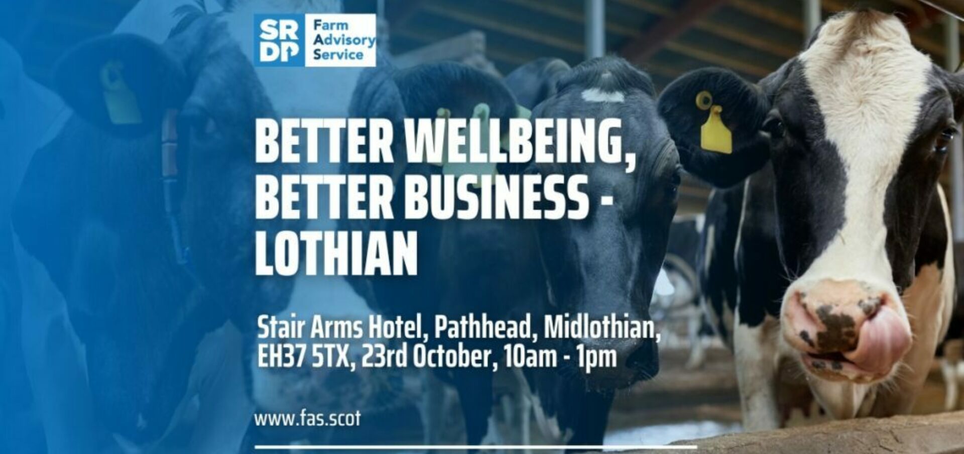 Better Wellbeing Lothian 1024x538