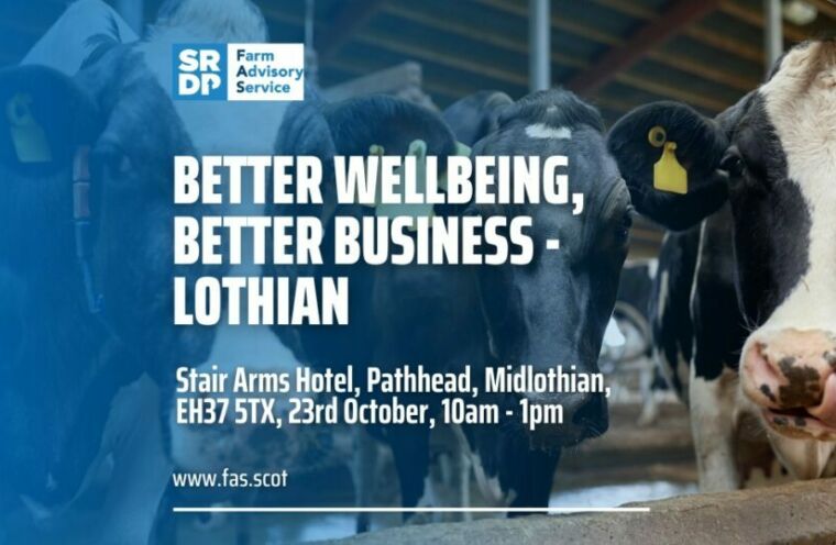 Better Wellbeing Lothian 1024x538